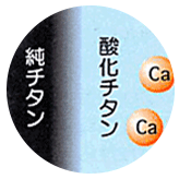 チタン表面と歯肉との親和性（酸化チタン層とその組成が関与）